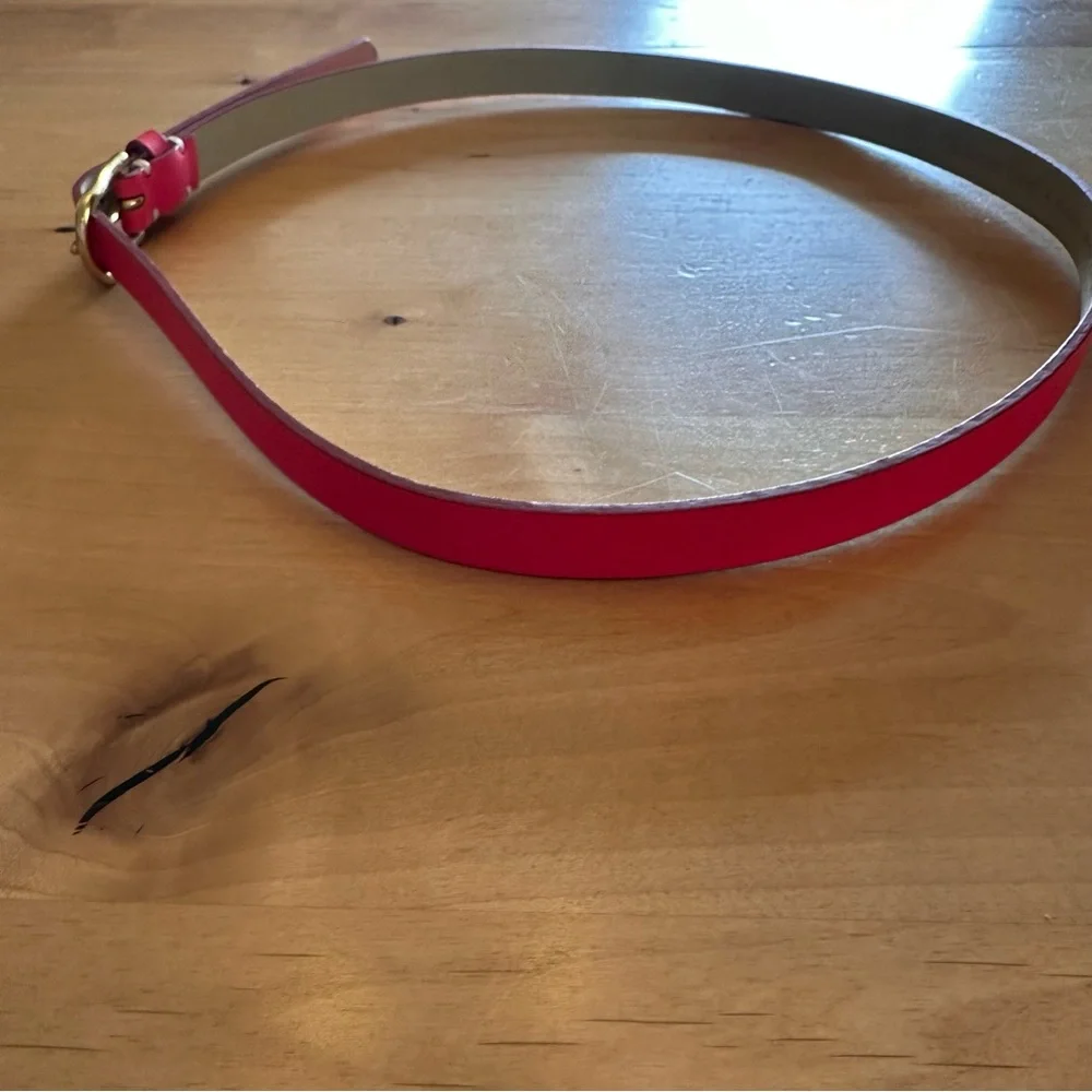 Coldwater Creek Bright Barbie Pink Thin Leather Belt With Gold Buckle